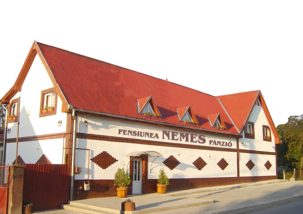 Pensiunea Nemes Panzio Acăţari Exteriér fotografie